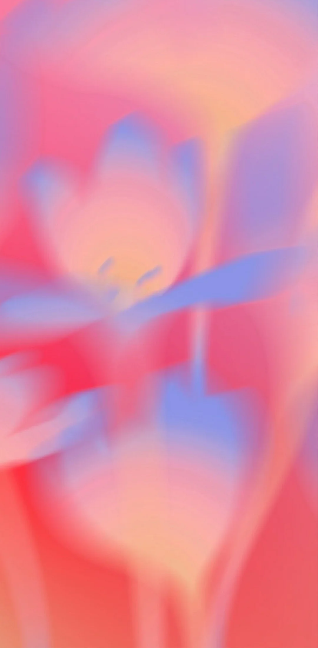 Download desktop wallpapers for free 12