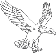 adler-bird