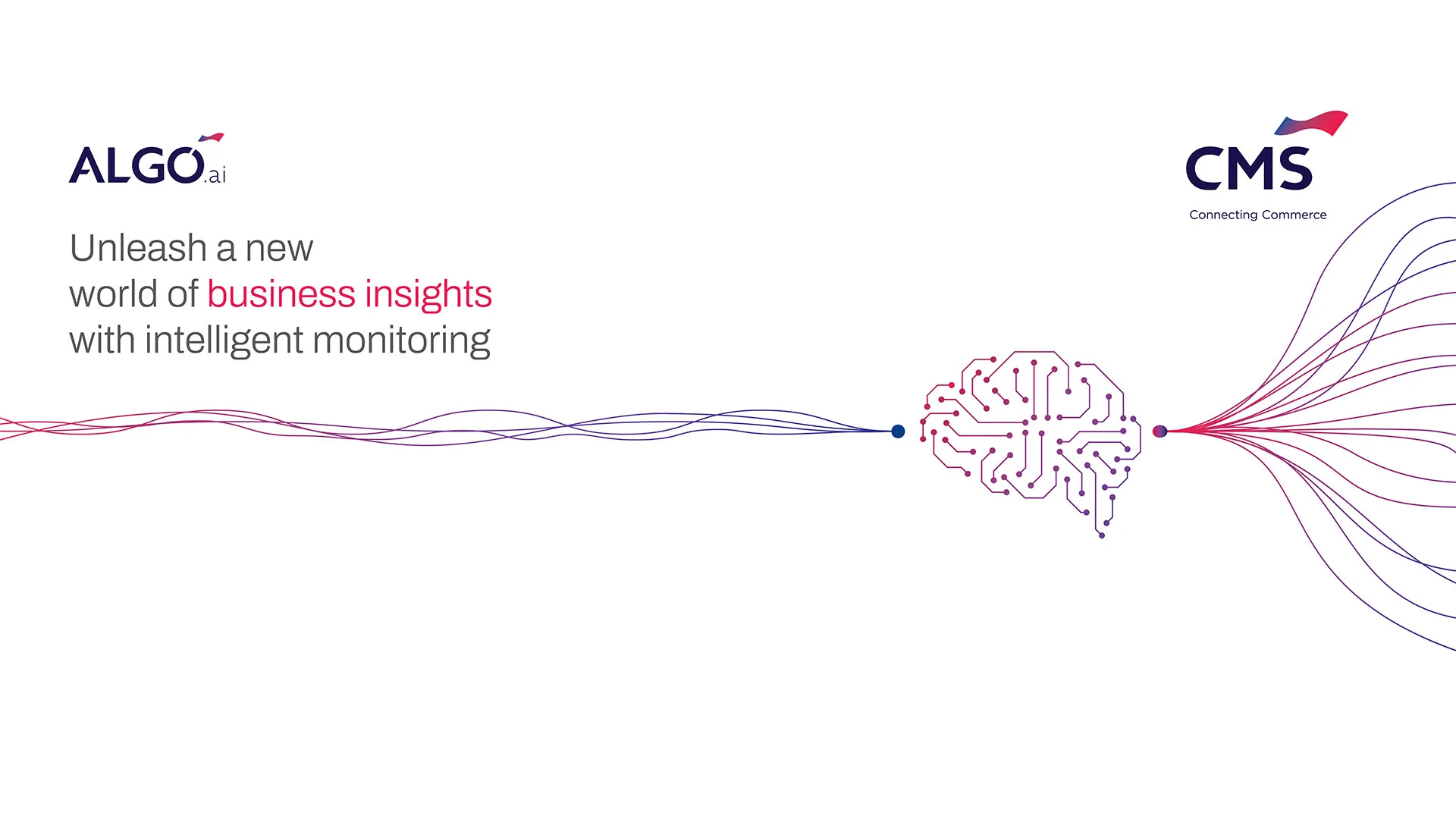 Algo | CMS