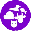 Shrem Sewa Animals Logo