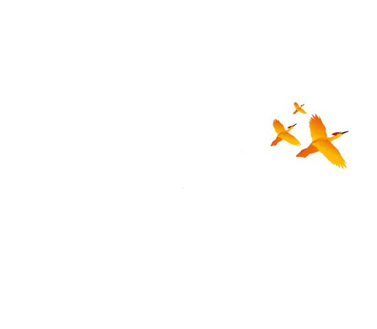 Shrem Sewa Foundation Logo