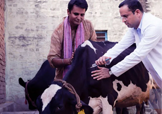 Animal Treatment at Shrem