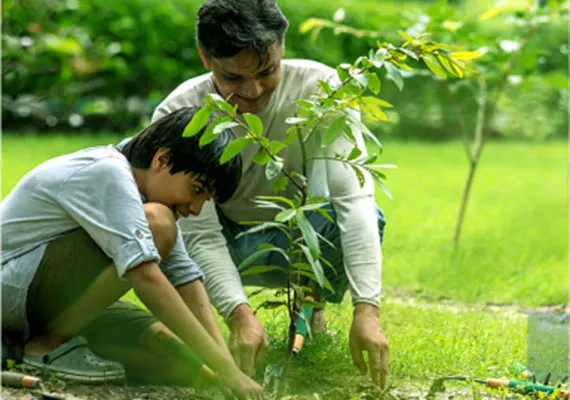 Environment Planting